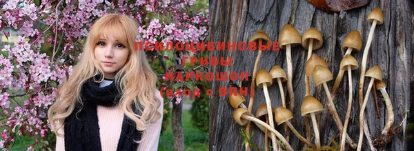 винт Абинск