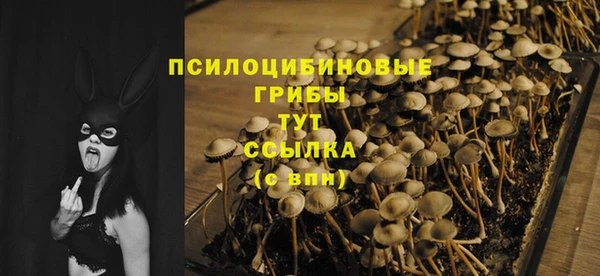 MDMA Premium VHQ Абаза