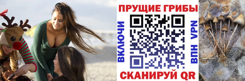 Галлюциногенные грибы ЛСД  Брюховецкая 